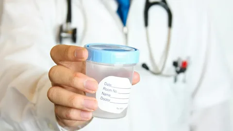 Rus shou-biznesi yulduzlari Porno jinsiy aloqa stullar